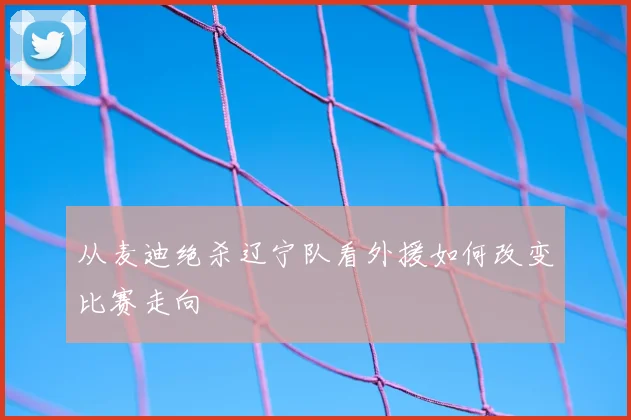 从麦迪绝杀辽宁队看外援如何改变比赛走向